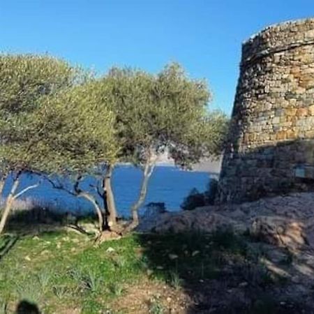 Charmant Petit Logement A 3 Kms De La Plage Belgodere  Exterior photo