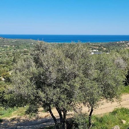 Charmant Petit Logement A 3 Kms De La Plage Belgodere  Exterior photo
