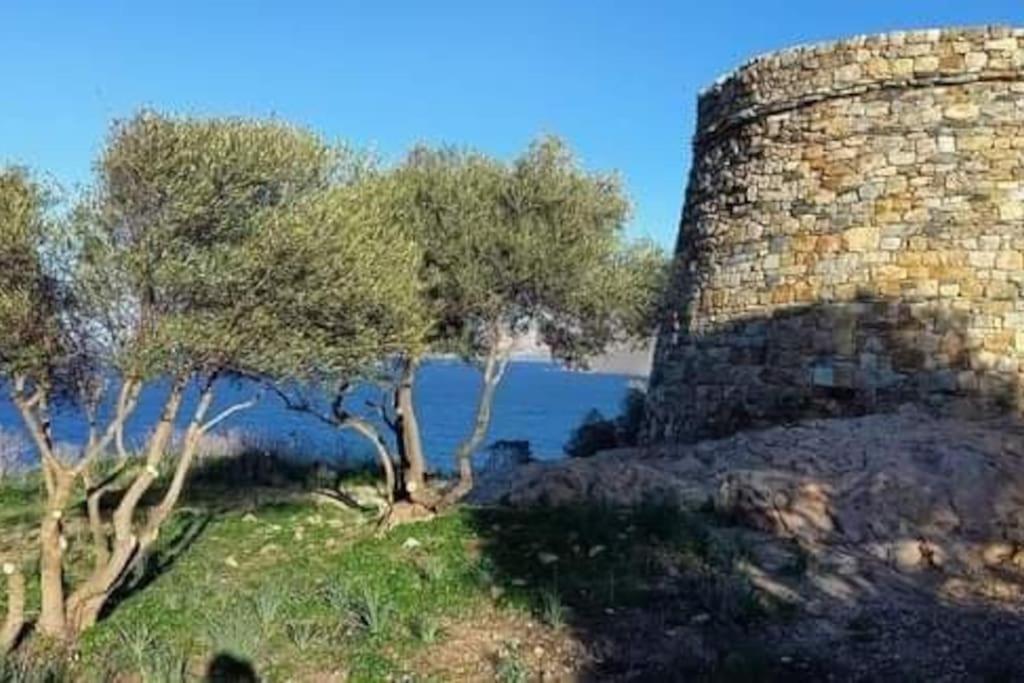 Charmant Petit Logement A 3 Kms De La Plage Belgodere  Exterior photo