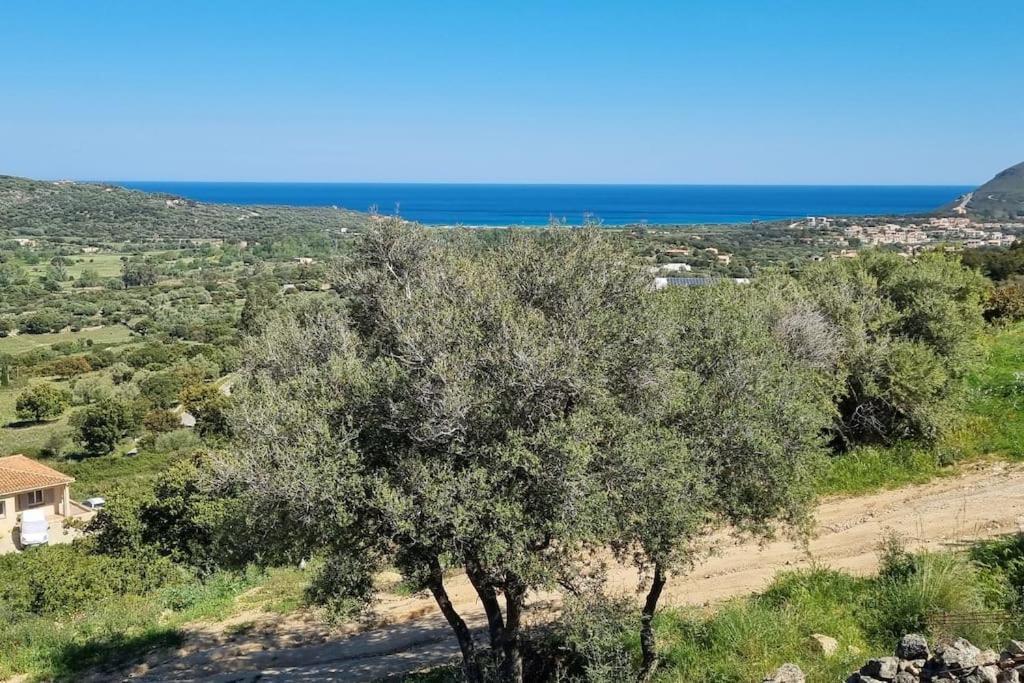 Charmant Petit Logement A 3 Kms De La Plage Belgodere  Exterior photo