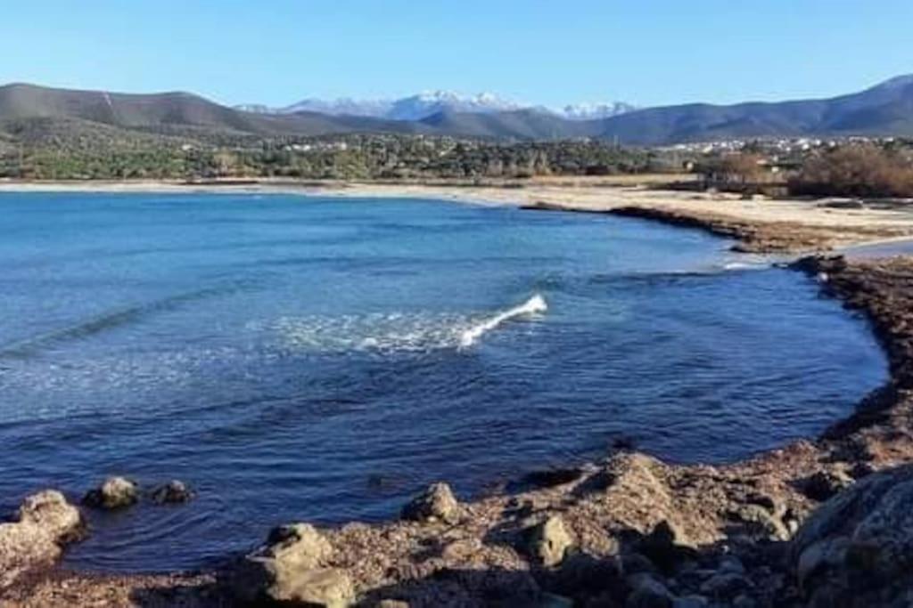 Charmant Petit Logement A 3 Kms De La Plage Belgodere  Exterior photo
